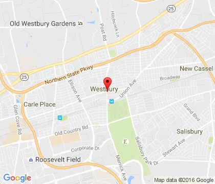 logo-image - Westbury-NY